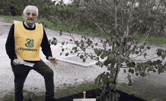 Quarrata, tre nuovi alberi e il monito di Legambiente