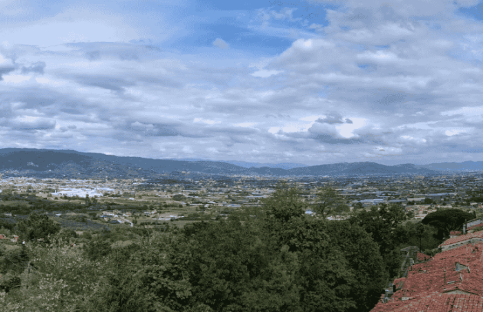Floraviva sbarca su pistoia.valdinievole.news
