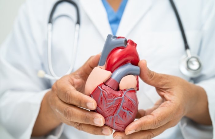Pistoia, visite gratuite per la prevenzione vascolare