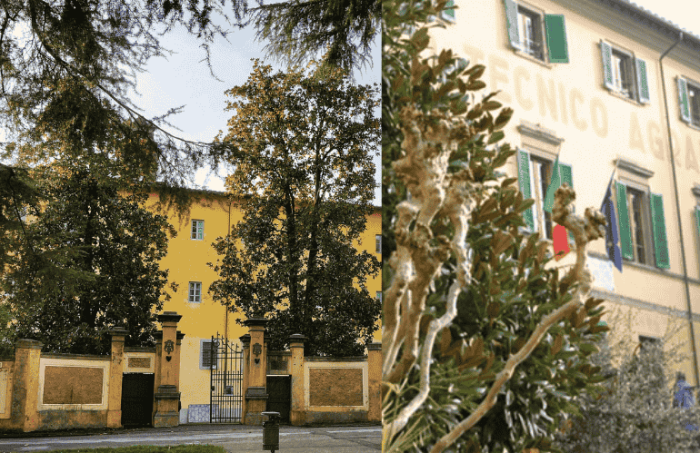 Accorpamenti: le opposizioni, Franchi “Difenda Lorenzini e Itas”