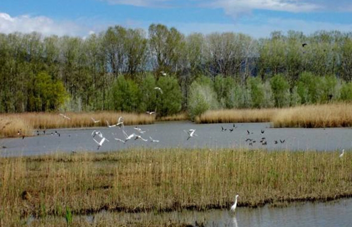 Padule, Pellegrini: «Basta fake news»