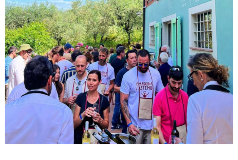 ViaVinaria Montecarlo 2025: degustazioni, vino e tradizione 