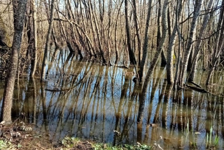 Altopascio: ‘Rigenera Sibolla’ per il rilancio della riserva naturale
