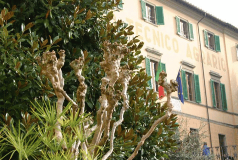 Pescia, sport e studio all’ITAS: camminata degli studenti e borsa “Paolo Batoni”