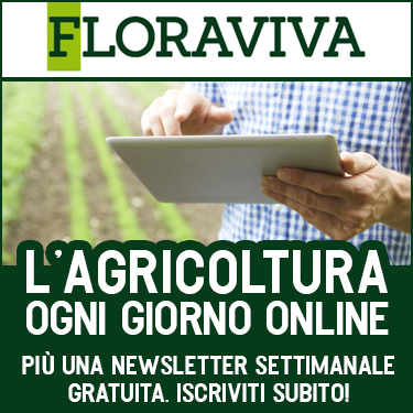 375x375_floravivanl_-_2.jpg