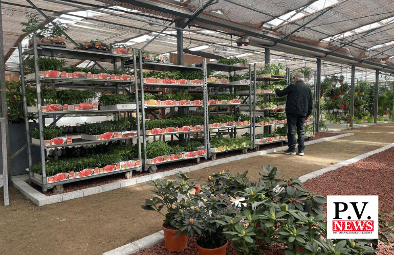 serra biologica piante ornamentali vivaio Agri Garden Pescia