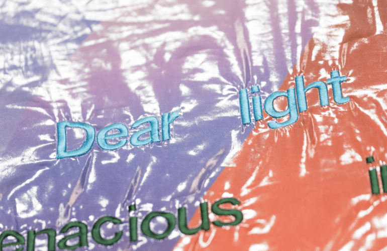 Dettaglio dell'opera di Barbara Prenka