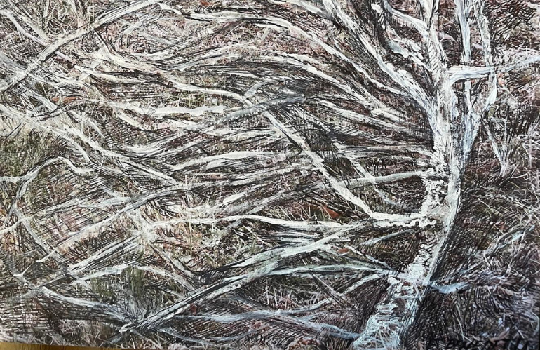 Colori e materiali usati da Franco Benedetti