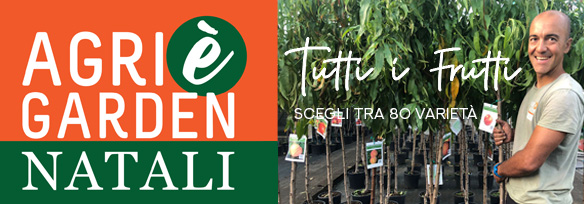 584-x-204-agrigarden-tutti-frutti