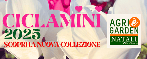 508x204 Garden Natali collezione Ciclamini