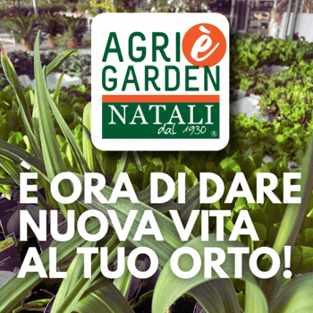 350x350 agrigarden orto 26 tag valdinievole 2