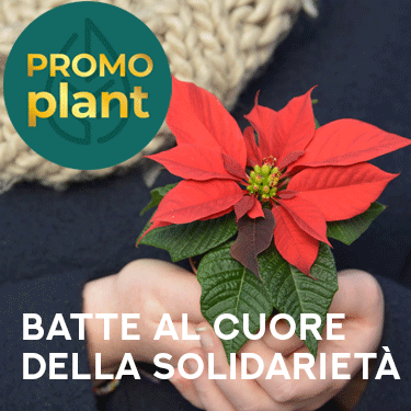 350x350 stella d'italia promoplant agroambiente