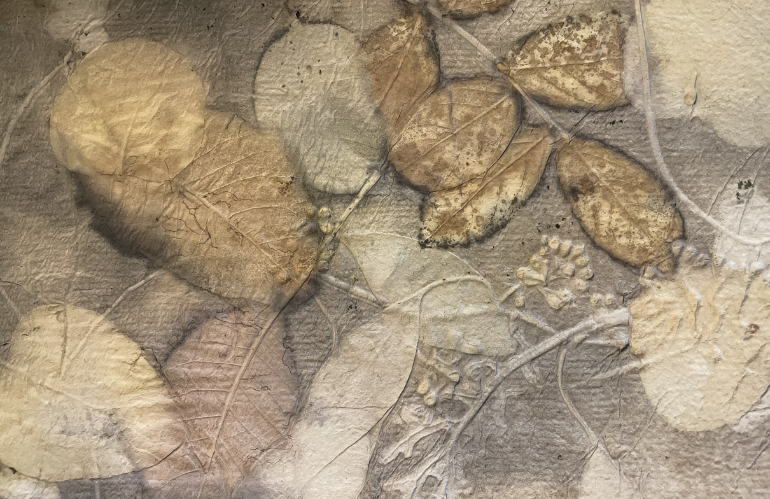 ecoprint carta magnani