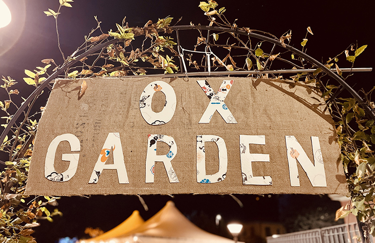 Torna OX Garden al Centro Giovani di Buggiano