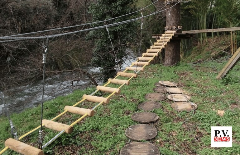 pinocchio rinascita 2