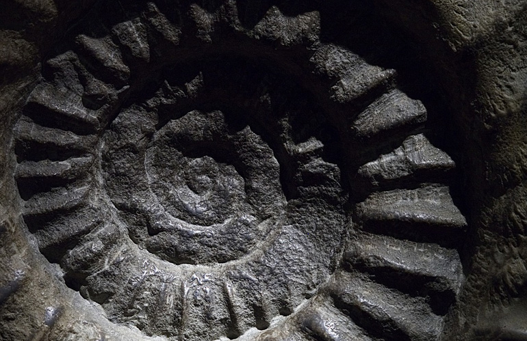 ammonite