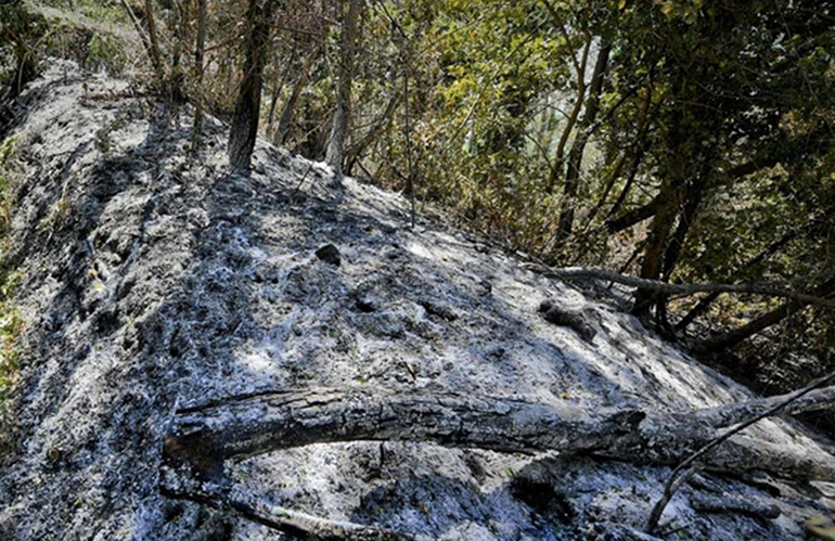 Aggiornato il catasto delle aree percorse dal fuoco