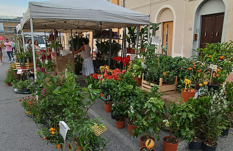 Festa di Primavera