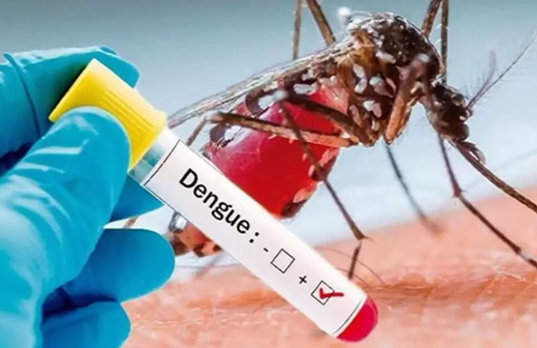 Pistoia: caso di Dengue, al via la disinfestazione