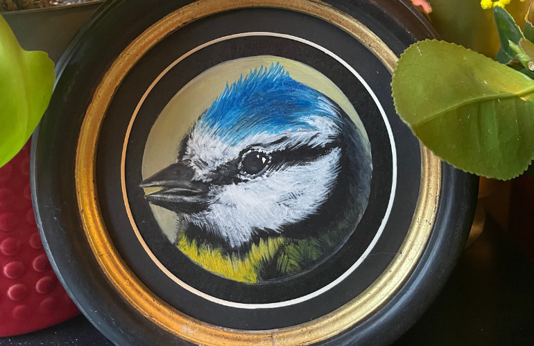 Disegni e studi naturalistici di Barbara Disperati ispirati ad animali e botanica