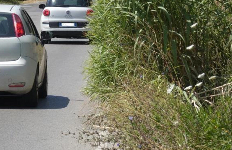 Taglio erba strade provinciali: grave ritardo