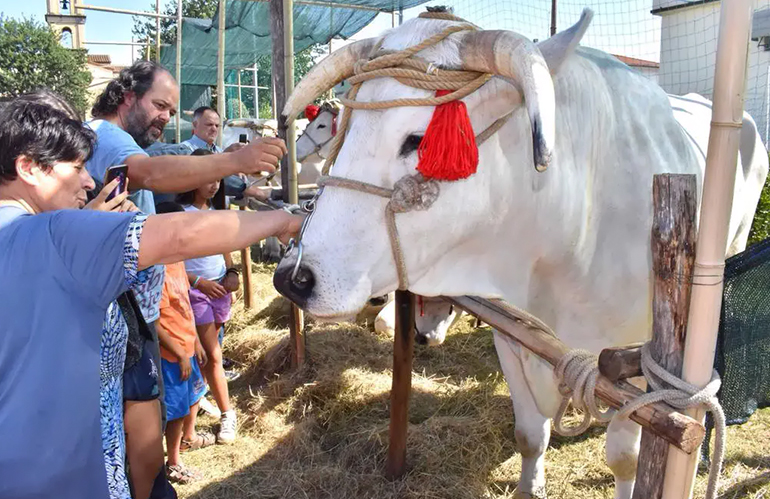 Martedì 5 settembre: torna la Fiera del Bestiame