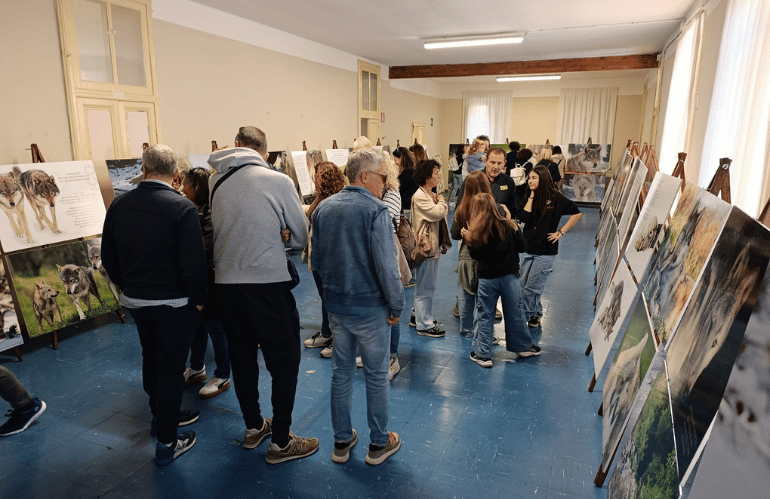la mostra fotografica del lupo
