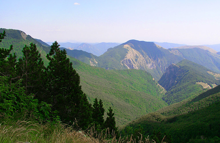 Montagna Toscana: bando per l'indennita annuale ad ettaro