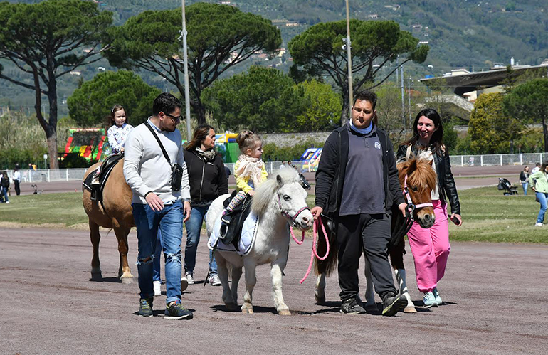 Al via una grande stagione all'ippodromo Sesana