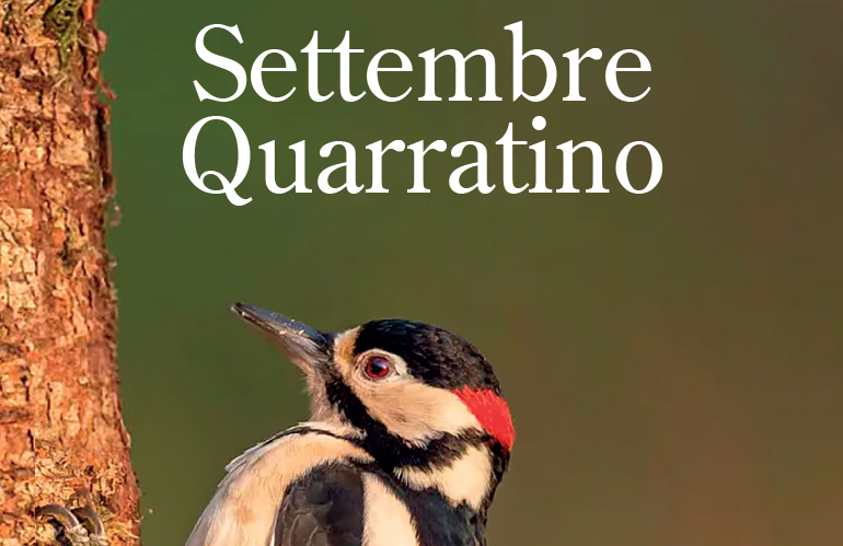 Al via il Settembre Quarratino 2023