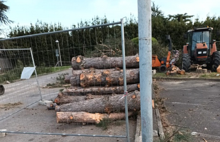 PD Chiesina Uzzanese contro taglio alberi