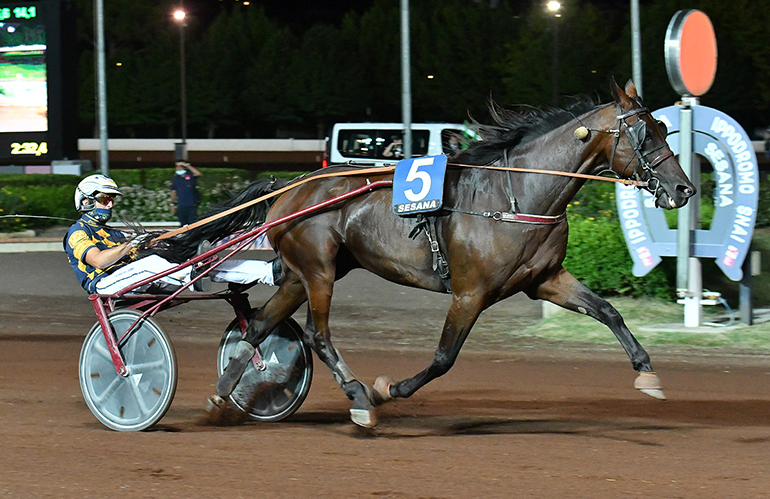 Ippodromo Sesana: in scena il trotto e tanto intrattenimento