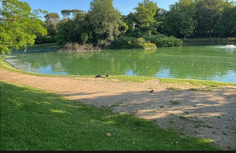 lago puccini pistoia richiesto intervento comune